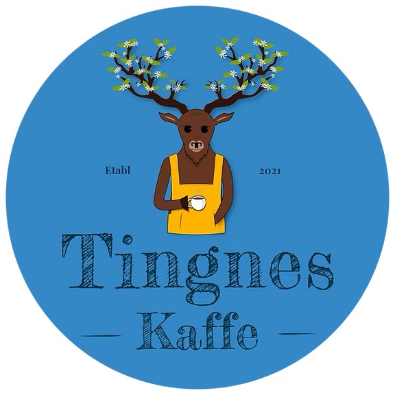 Lys Jul Tingnes