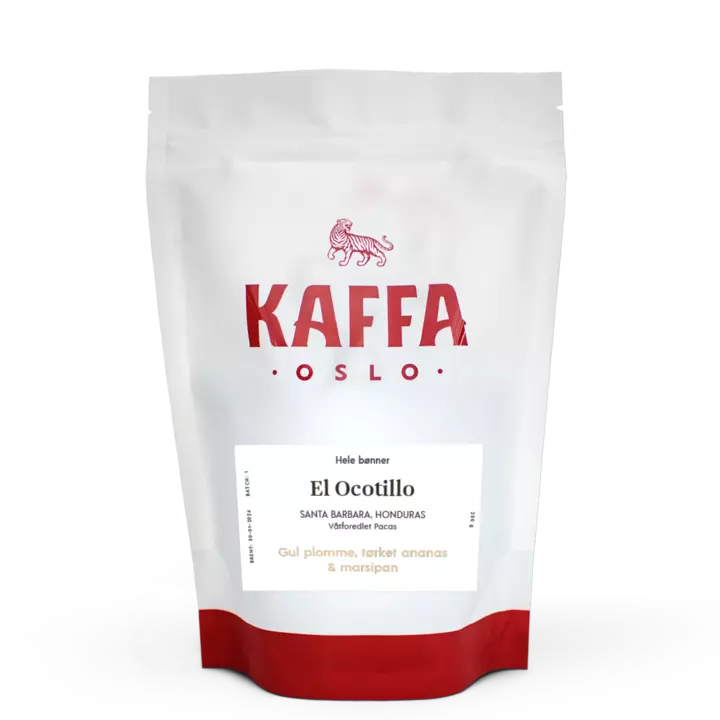 Honduras El Ocotillo